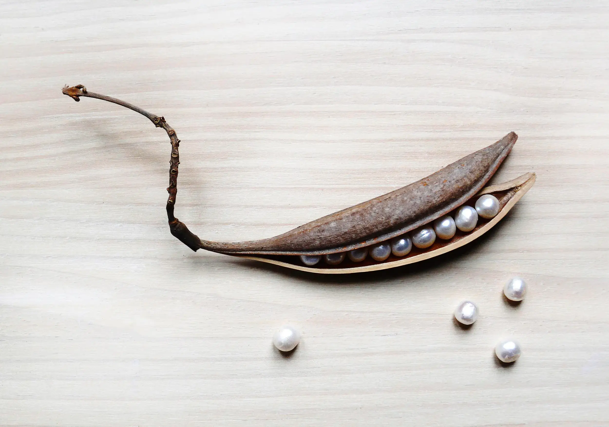 Pearl peas
