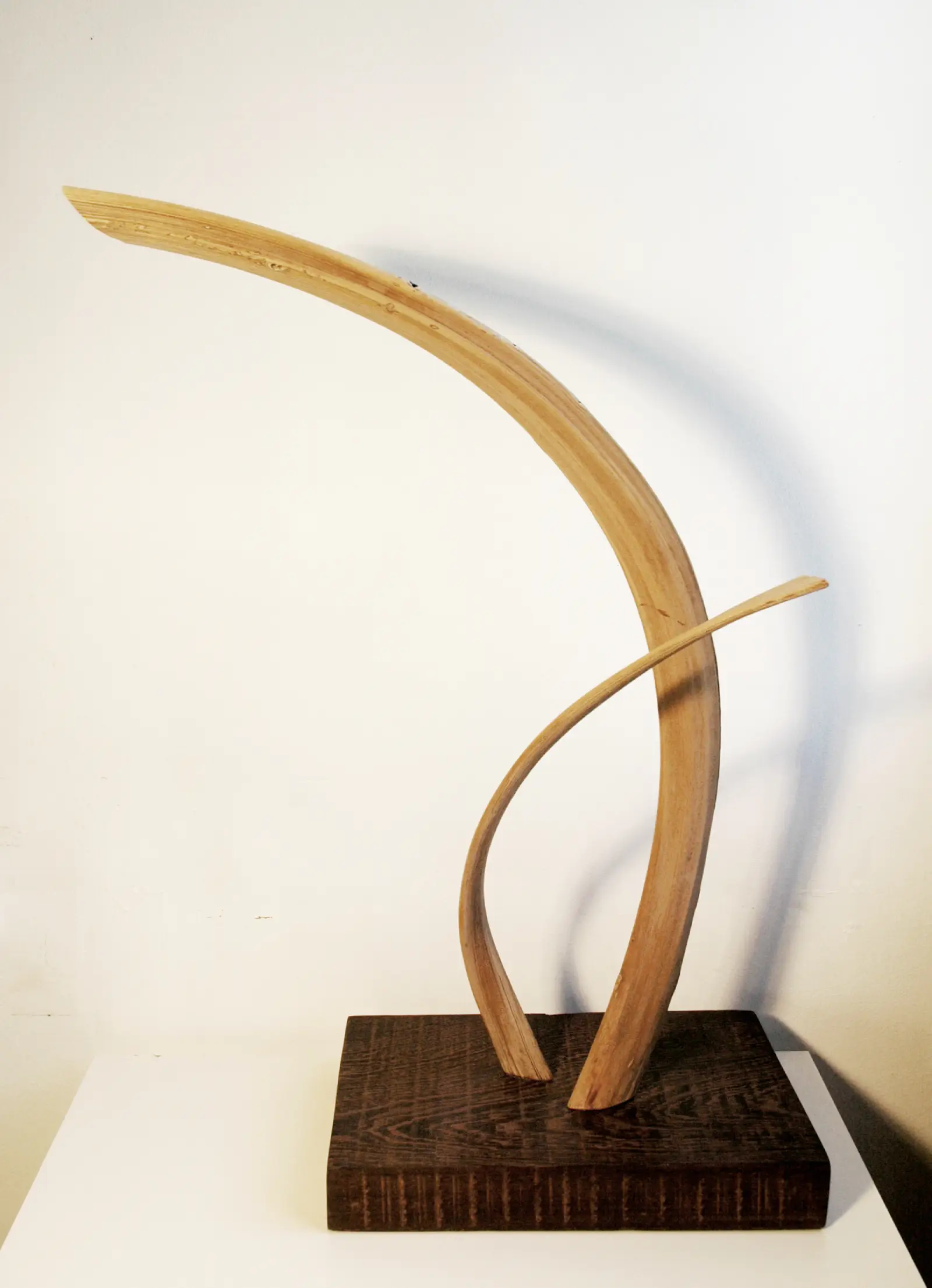 2.LA PERLA ( a punto de caer)