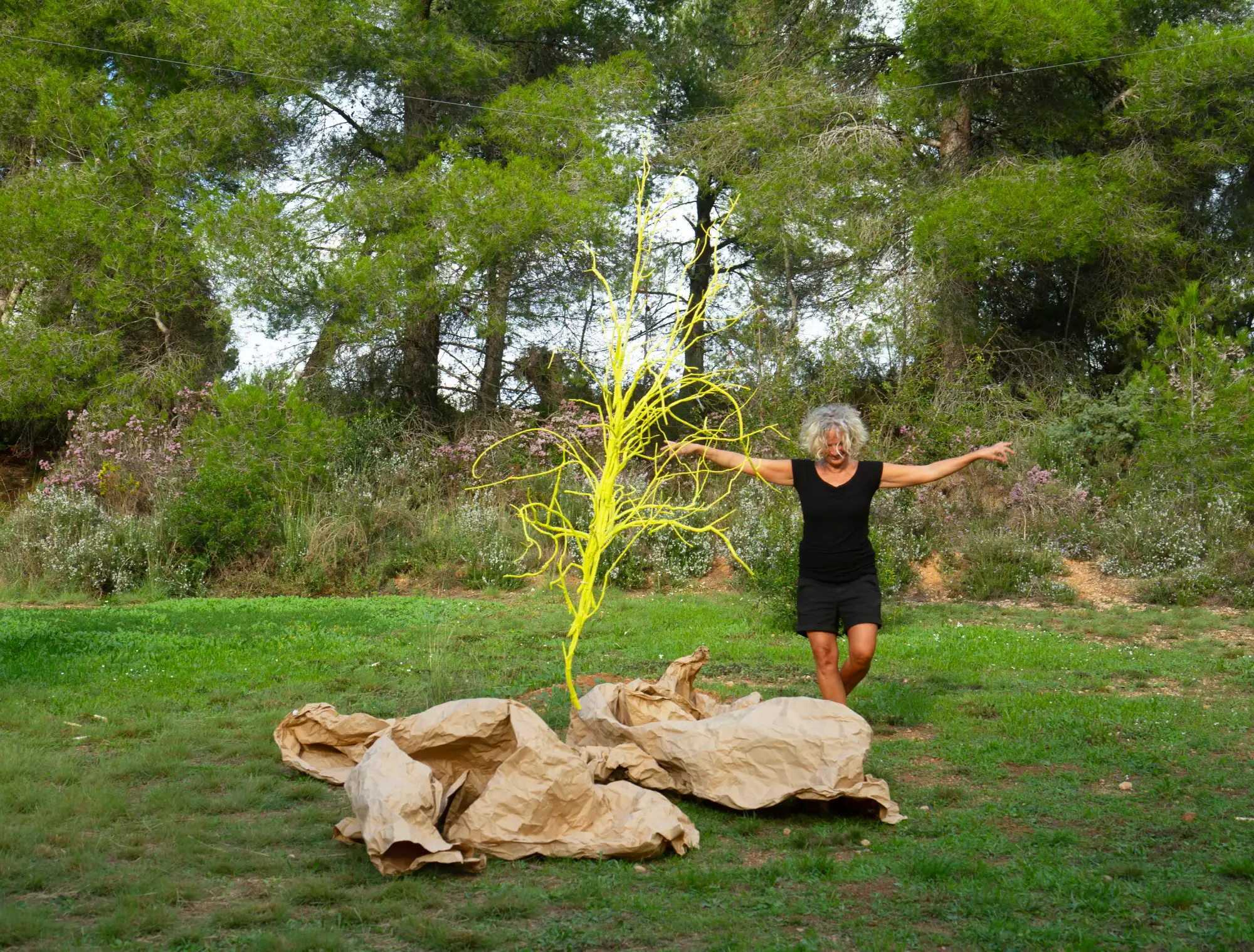 Obra Amarillo - Mónica Pla